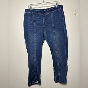 Purejill Denim Slim Leg Ankle Stretchy Pant Size LP